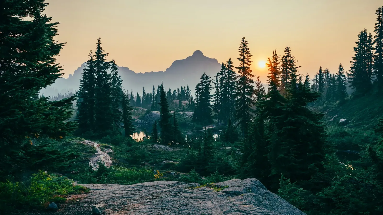 Bosque de pinos al amanecer con la silueta de la montaña entre la calma de la Sierra de Guadarrama